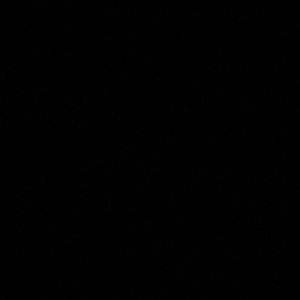 Meet your Posher, Maya